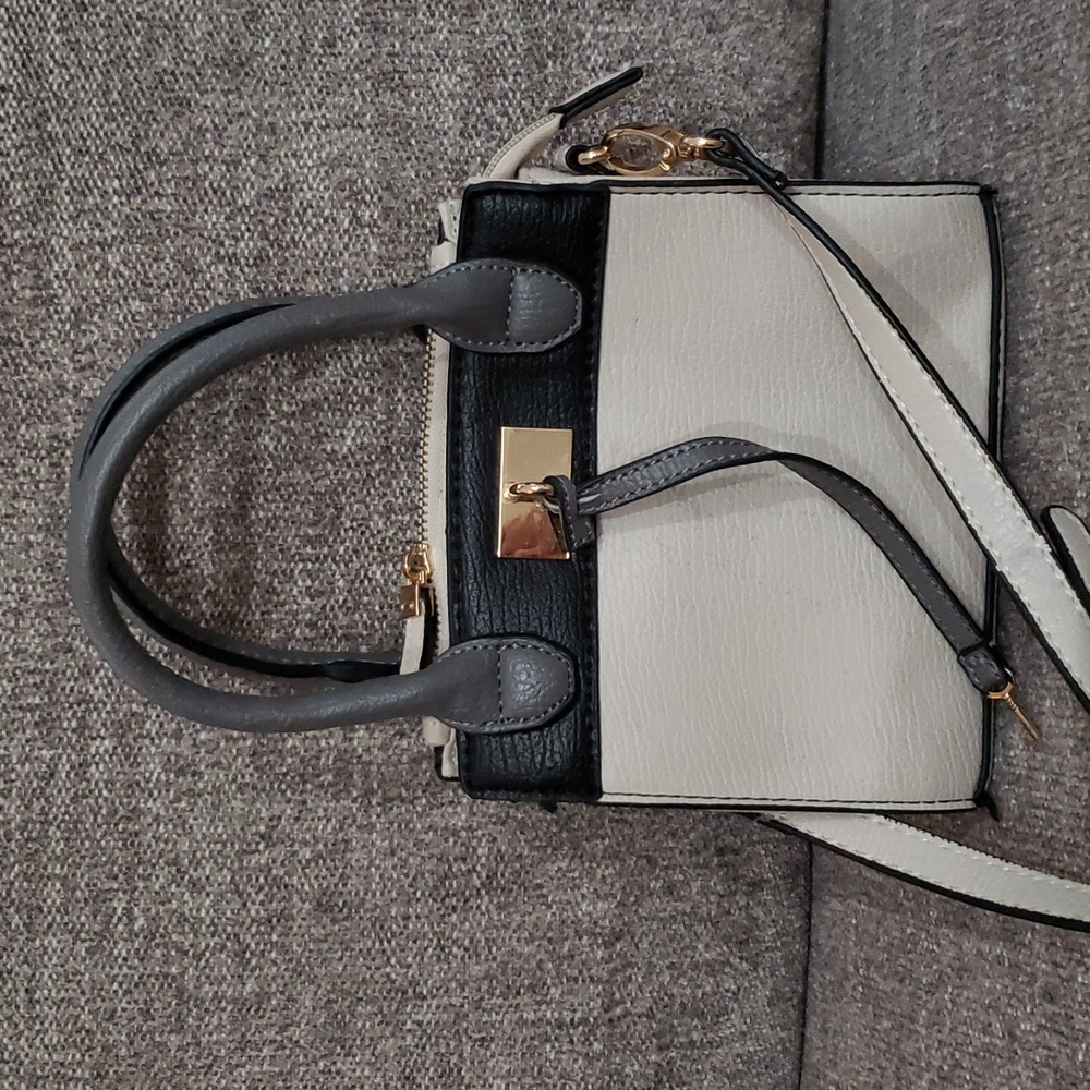 Carpisa purse